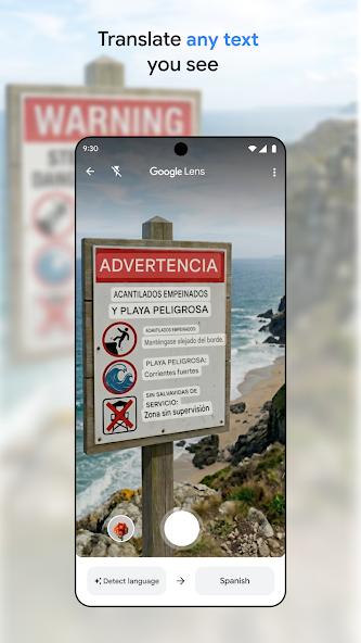 Camera Translation on a Trip: Read the Sign Before Trusting the Overlay